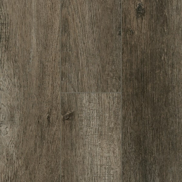 TORLYS EVERWOOD ELITE FARROW 8,3 MM